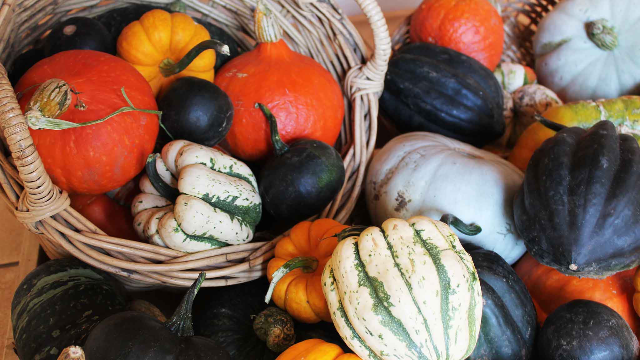 squash-primrose-vale-farm-shop-cheltenham-2